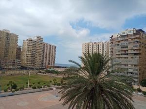 Fotografie z fotogalerie ubytování شقة العصافرة بحري فيو بحر وحدائق v destinaci Alexandria