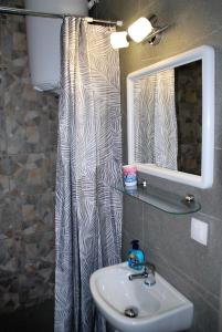 a bathroom with a sink and a mirror and a shower curtain at Zeusplace Anastasia's Apartment 2 in Litochoro