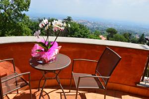 Afbeelding uit fotogalerij van Agriturismo Il Falco in Velletri