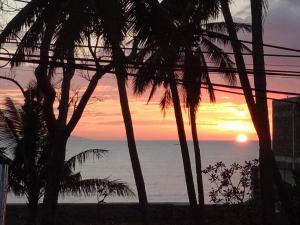 - un coucher de soleil sur une plage de palmiers et l'océan dans l'établissement Beach Road Apartments, à Matabungkay