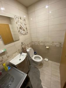 ein Bad mit einem WC und einem Waschbecken in der Unterkunft Robert's Apartment in Celje