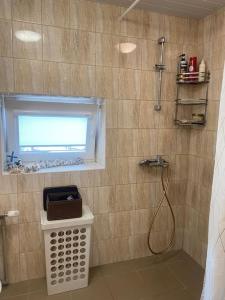 baño con ducha y ventana en Jaunzīlīšu namiņš en Lielvārde