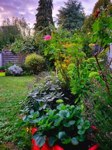 um jardim cheio de flores e plantas em Welcome em Nantes