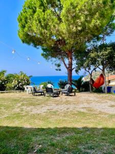 Příroda nedaleko bed and breakfast