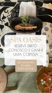 una pianta in un vaso seduta su un tavolo di Pousada Spa Oasis a Caraíva