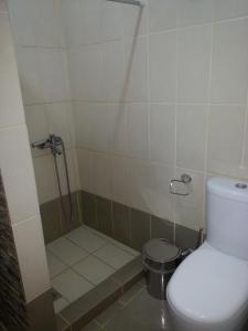 蓋尤斯的住宿－拉維尼婭公寓，一间带卫生间和淋浴的浴室