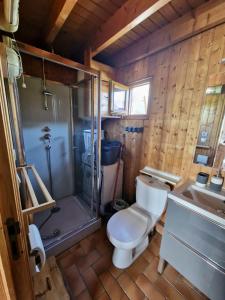 a bathroom with a toilet and a shower and a sink at Chalet 6 pers avec piscine in Cabourg