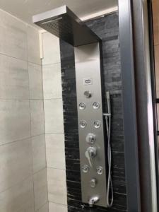 una doccia con porta in vetro in bagno di Seaview Terrace Appartement a Flic-en-Flac