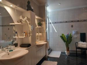 La salle de bains est pourvue d'un lavabo et d'une douche. dans l'établissement Hotel Schloßschenke, à Idar-Oberstein