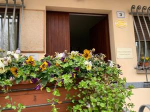 una scatola di fiori su una porta di un edificio di Stabat Mater Casa di Preghiera a Valdragone