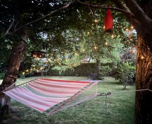 Zahrada ubytování Haus mit Garten