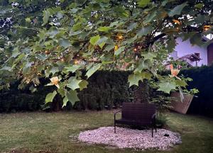 Zahrada ubytování Haus mit Garten