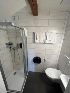 e bagno con doccia, servizi igienici e lavandino. di Hotel de ville d'Yvonand a Yvonand