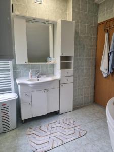 House Osjek Ilidza في إيليجا: حمام مع حوض ومرآة