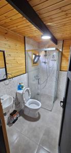 a bathroom with a shower and a toilet and a sink at Lake house kayacık Resort in Dalaman