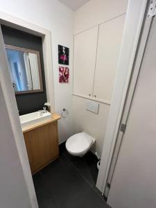 een badkamer met een toilet, een wastafel en een spiegel bij Tehuizen Alness in Wetteren