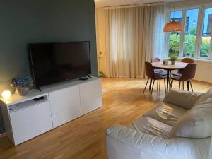 TV a/nebo společenská místnost v ubytování Romslig og sentral leilighet!