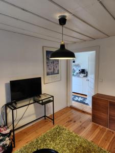 a living room with a tv and a table and a lamp at Norrekås Beach Studios in Borrby