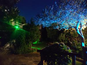Jardín al aire libre en La Portilla de Cabezo