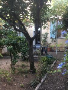 a garden with a tree and a table and chairs at Agréable maison de ville au calme avec garage in Cannes