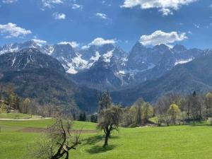 a green field with mountains in the background at Apartments Blažič in Kranjska Gora