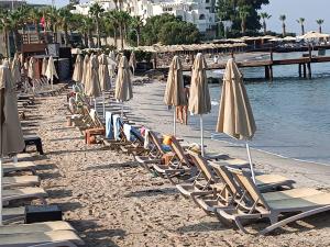 a row of lounge chairs and umbrellas on a beach at Bodrum Turgutreis Apart in Karabağ