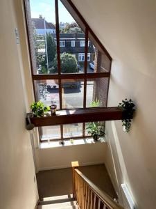 a staircase with a large window and potted plants at Stylish contemporary seaside holiday home with 5 bedrooms, sea view, parking and EV point in Kent