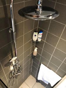 y baño con ducha, lavabo y aseo. en Birkerød Rolighedsvej 14A, en Birkerød