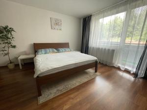 ein Schlafzimmer mit einem Bett und einem großen Fenster in der Unterkunft Apartmanovy dom Slavkov in Veľký Slavkov