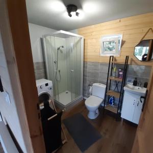 een badkamer met een douche, een toilet en een wastafel bij Domki że Hej Bieszczady in Ustrzyki Dolne