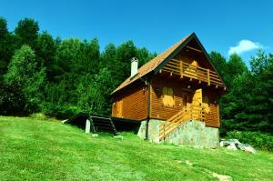 une petite cabane en bois sur une colline herbeuse dans l'établissement Brvnare Kušići, à Ivanjica