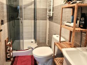 a bathroom with a shower and a toilet and a sink at Apartament Cicho Sza in Augustów