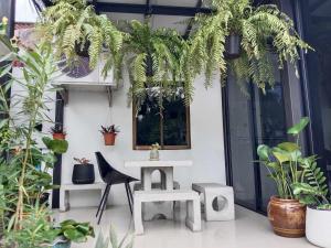 eine Terrasse mit einem Tisch, Stühlen und Pflanzen in der Unterkunft ก้านกล้วยแมนชั่น Gankluy Mansion in Phuket