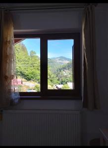 - une fenêtre avec vue sur la montagne dans l'établissement CASA DAVID, à Voineşiţa