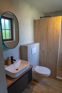 a bathroom with a sink and a toilet and a mirror at Raj v Slovenskom Raji 2 samostatné apartmány in Spišská Nová Ves