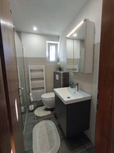 een badkamer met een wastafel, een toilet en een spiegel bij Appartement am See in Velden in Velden am Wörthersee