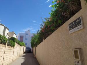 Une allée avec des plantes sur le côté d'un bâtiment dans l'établissement Flat Al farabi, à Agadir