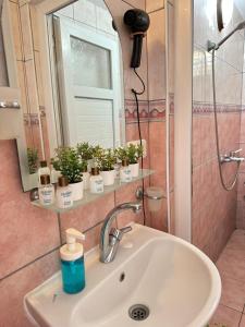 lavabo con espejo y algunas plantas en Gelidonya Pansiyon en Kumluca