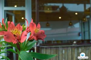 Fotografie z fotogalerie ubytování Blue Lotus Resort v destinaci Mukteswar