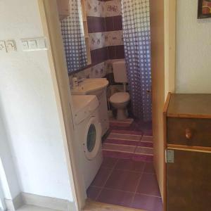 a small bathroom with a toilet and a sink at HOLIDAY HOUSE MARIC 