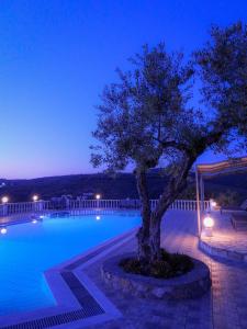 a tree sitting next to a swimming pool at night at Thanos Village in Gialova