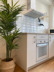 a white kitchen with a plant in a pot at Noreas Centro Lucus Augusti in Lugo