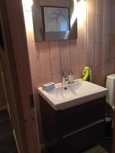 ein Badezimmer mit einem weißen Waschbecken und einem Spiegel in der Unterkunft Bjørnehuset in Sønstebø
