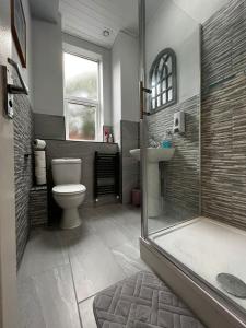 a bathroom with a shower and a toilet and a sink at Cozy apartment 1 in Worcester