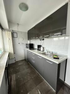 uma pequena cozinha com um lavatório e um balcão em Magic Studio em Ploiesti