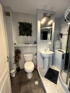 uma casa de banho com um WC e um lavatório em Magic Studio em Ploiesti