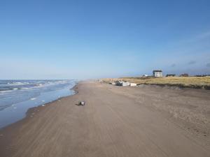 an empty beach with a dog on the sand at Appartementen Hotel Meyer in Bergen aan Zee