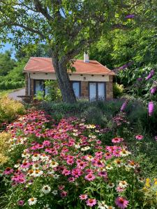 a garden with flowers in front of a house at Káli Panoráma Kisház in Mindszentkálla