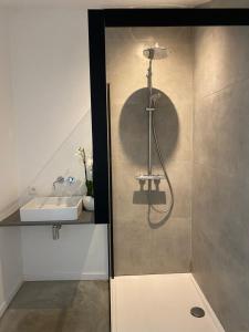 een badkamer met een douche en een wastafel bij Hoeve De Kleinheide in Dessel
