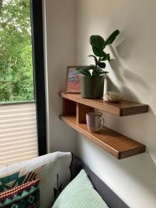 una habitación con estanterías de madera y una planta en la pared en Tiny House im Seecontainer mit Parkplatz, Glasfaser, Netflix, Veranda und gehobener Ausstattung en Coburg